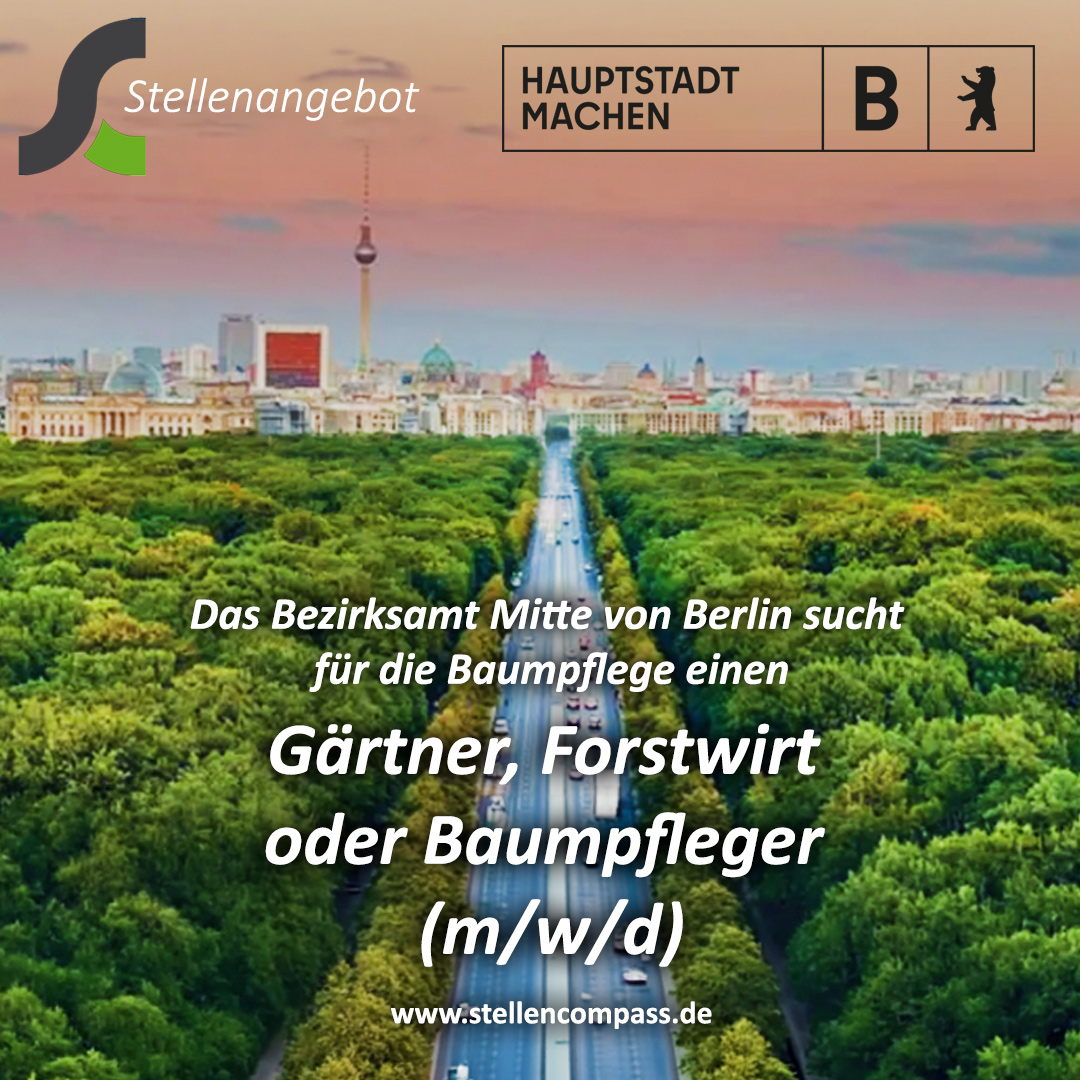 Das Bezirksamt Mitte von Berlin sucht für die Baumpflege einen Gärtner, GaLa-Bauer, Forstwirt, Baumpfleger (m/w/d) | Stellenangebote & Jobs auf stellencompass.de